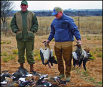 Goose hunt